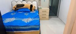 #1 Suites (D14), Apartment #542826691